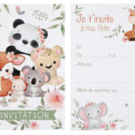 Anniversaire enfant, explorateur, invitation