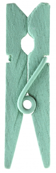Décoration de table, pince en bois, menthe