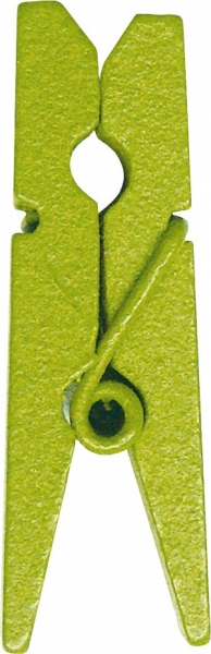 Decoration de table, pince en bois, vert anis