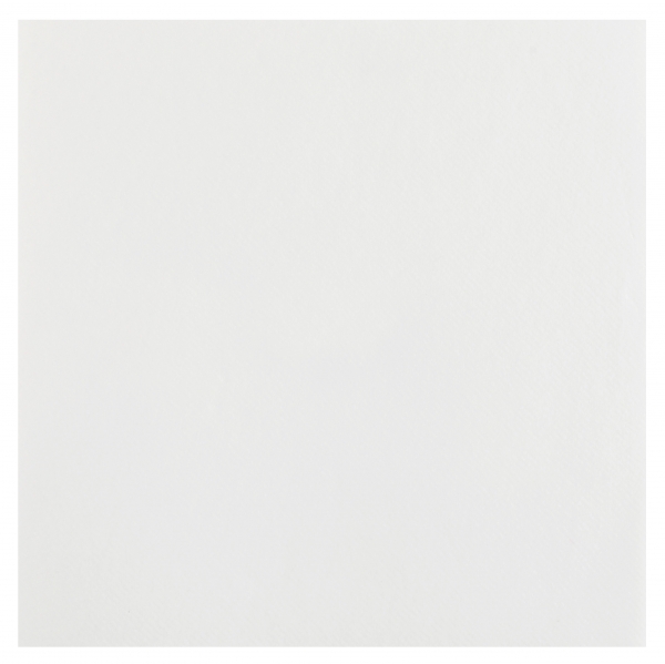Décoration de table, serviettes en intissé, blanc