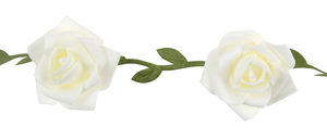 Occasions spéciales, mariage, guirlande, blanche