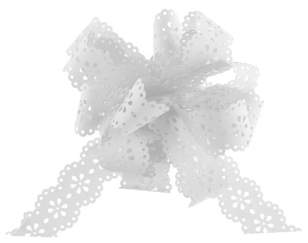 Occasions spéciales, mariage, nœud, blanc