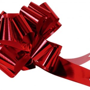Occasions spéciales, mariage, nœud, rouge