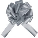 Occasions spéciales, mariage, noeud automatique, argent