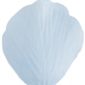 Occasions spéciales, mariage, petales, bleu ciel