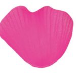 Occasions spéciales, mariage, petales, fuchsia