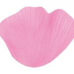 Occasions spéciales, mariage, petales, rose pastel