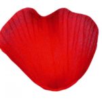 Occasions spéciales, mariage, petales, rouge