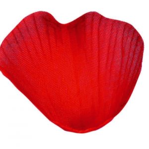 Occasions spéciales, mariage, petales, rouge