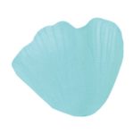 Occasions spéciales, mariage, petales, turquoise