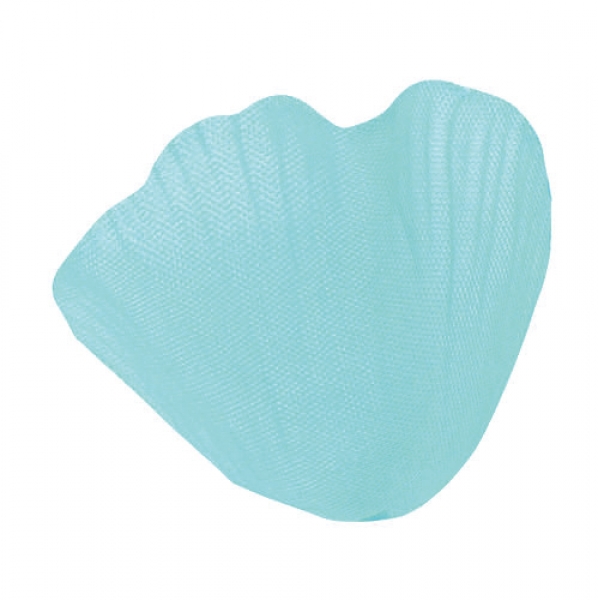 Occasions spéciales, mariage, petales, turquoise
