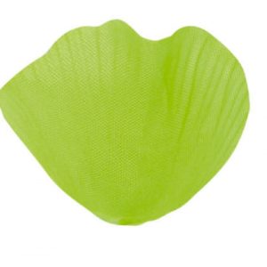Occasions spéciales, mariage, petales, vert anis