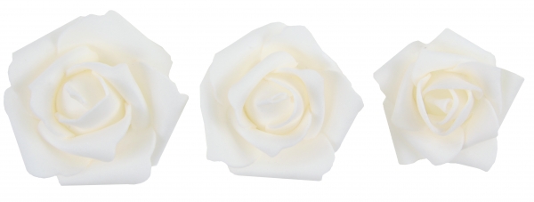 Occasions spéciales, mariage, roses blanches