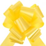occasions spéciales, mariage, tulle et nœud, jaune