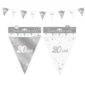 Anniversaire, guirlande, fanion, argent, 20