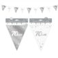 Anniversaire, guirlande, fanion, argent, 70