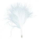 Décoration de table, plume, blanche