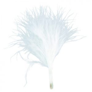 Décoration de table, plume, blanche