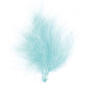 Décoration de table, plume, bleu ciel