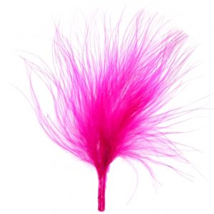 Décoration de table, plume, fuchsia