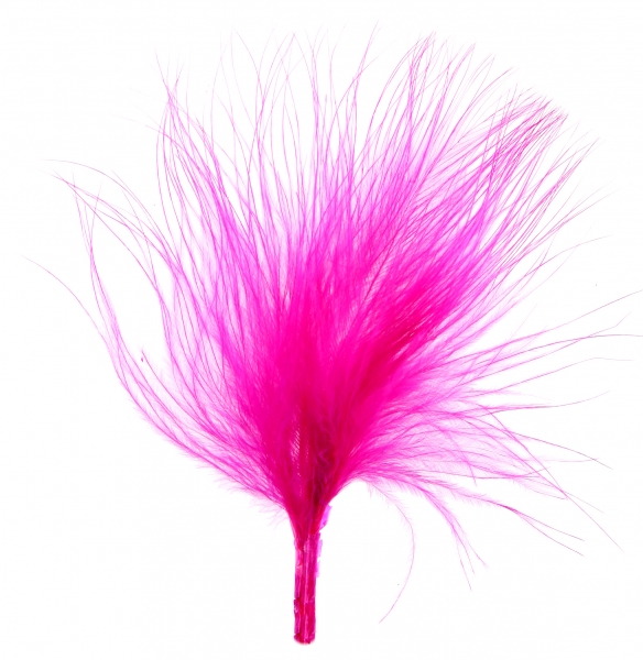 Décoration de table, plume, fuchsia