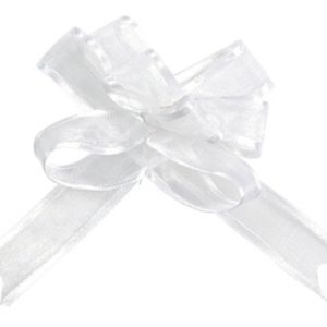 occasions spéciales, mariage, nœuds, blanc