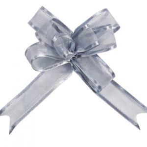 occasions spéciales, mariage, nœuds, gris