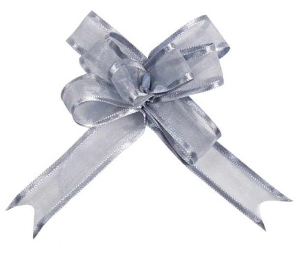 occasions spéciales, mariage, nœuds, gris