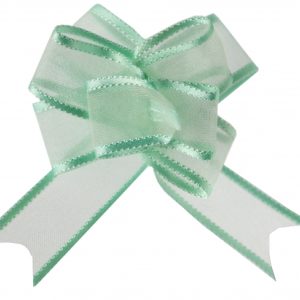 occasions spéciales, mariage, nœuds, menthe