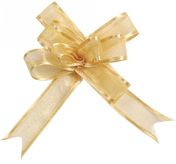 occasions spéciales, mariage, nœuds, or