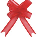 occasions spéciales, mariage, nœuds, rouge