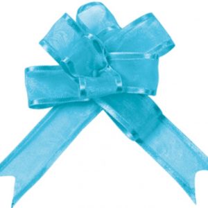 occasions spéciales, mariage, nœuds, turquoise