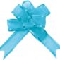 occasions spéciales, mariage, nœuds, turquoise