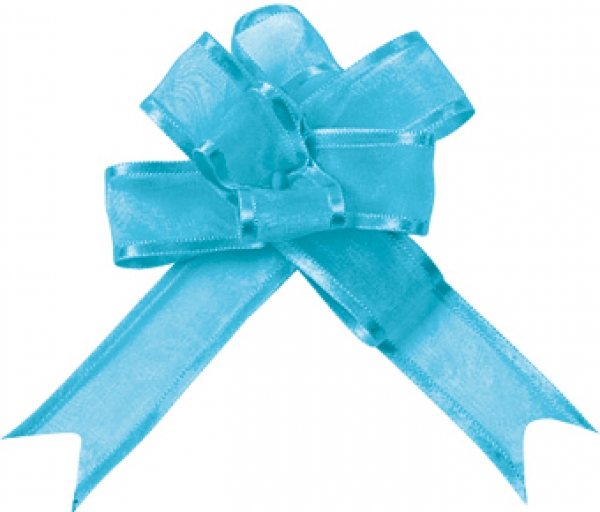 occasions spéciales, mariage, nœuds, turquoise