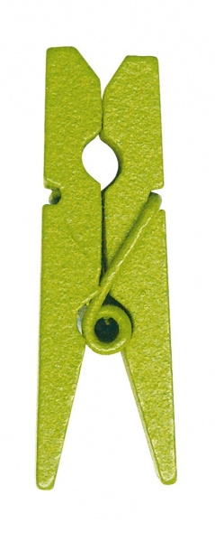 Décoration de table, mini pince, vert anis