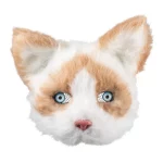 Accessoires de fêtes, lunettes, demi masque, chat