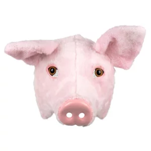 Accessoires de fêtes, lunettes, demi masque, cochon