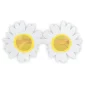 Accessoires de fêtes, lunettes, marguerite