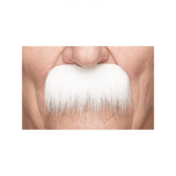 ACCESSOIRESDEFETES-MOUSTACHE-BROSSE-BLANCHE Accessoires de fête, moustache, brosse, blanche