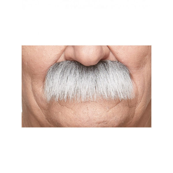 Accessoires de fête, moustache, brosse, grise