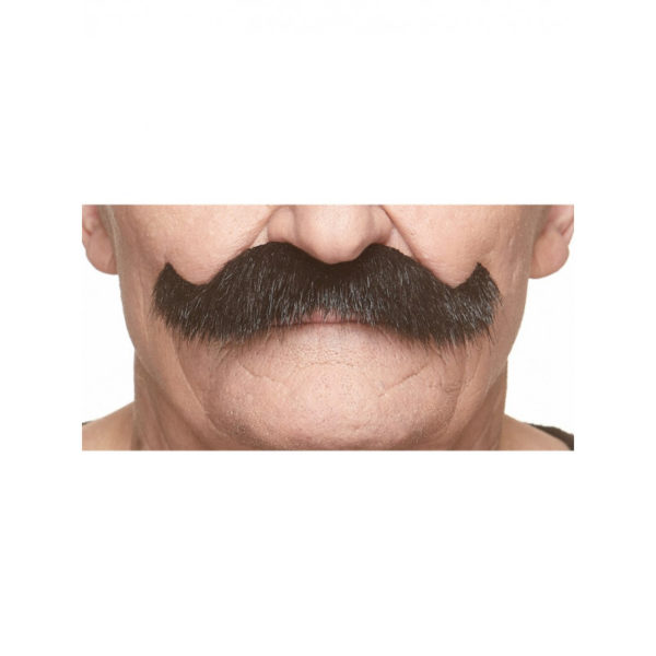 Accessoires de fête, moustaches, clark, noir