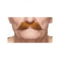Accessoires de fête, moustaches, dandy, roux