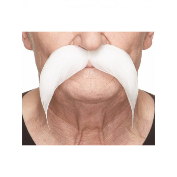 Accessoires de fêtes, moustaches, gauloise, blanc