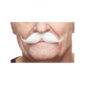 Accessoires de fêtes, moustaches, guillaume, blanche
