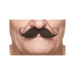 Accessoires de fêtes, moustaches, guillaume, noire