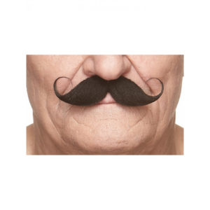 Accessoires de fêtes, moustaches, guillaume, noire