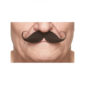Accessoires de fêtes, moustaches, guillaume, noire
