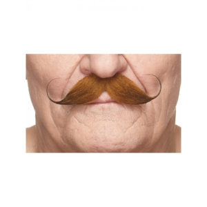 Accessoires de fêtes, moustaches, guillaume, rousse