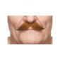 Accessoires de fêtes, moustaches, guillaume, rousse