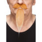 Accessoires de fêtes, moustaches, mousquetaire, rousse